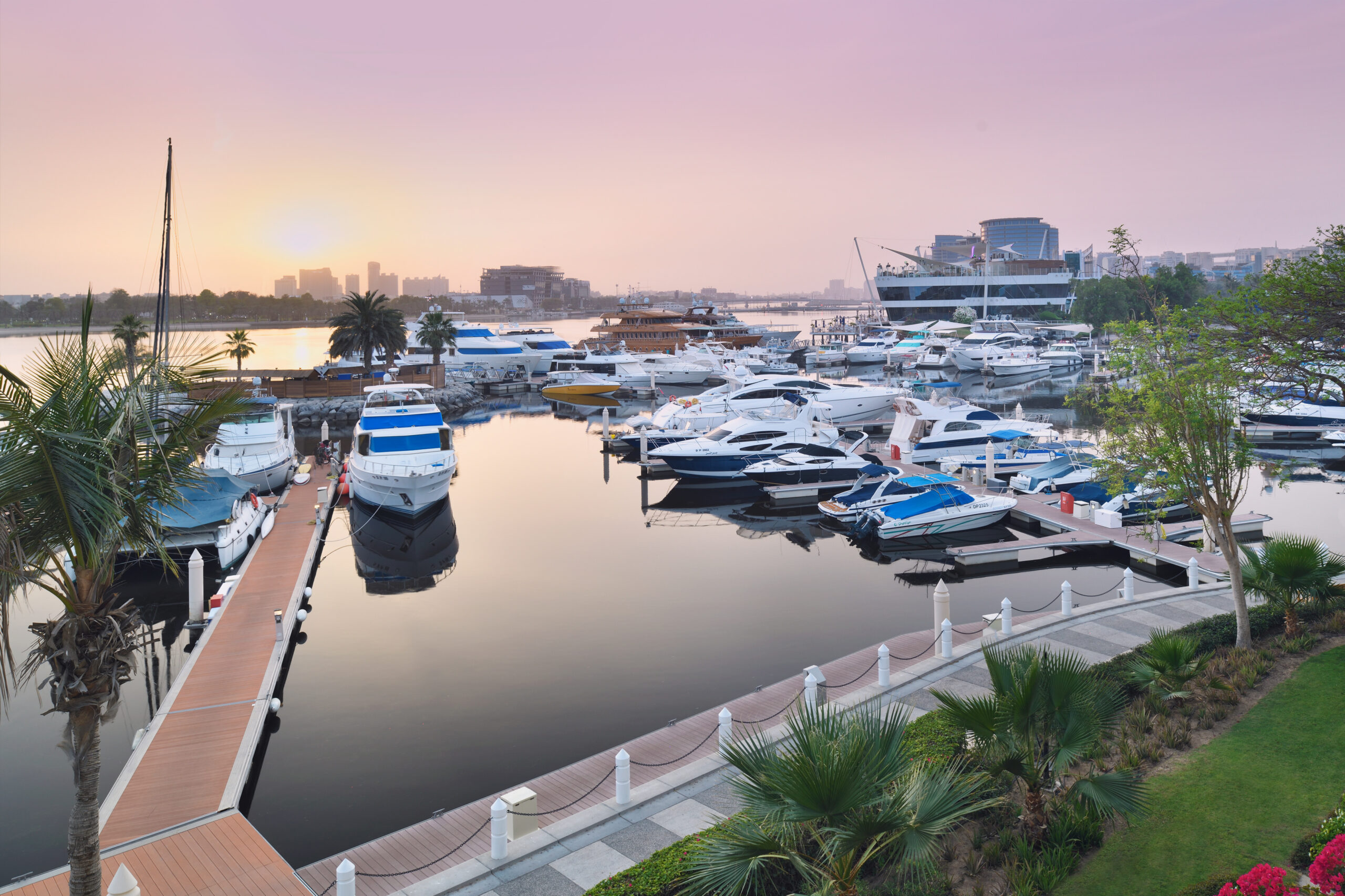 Skyline Marine View