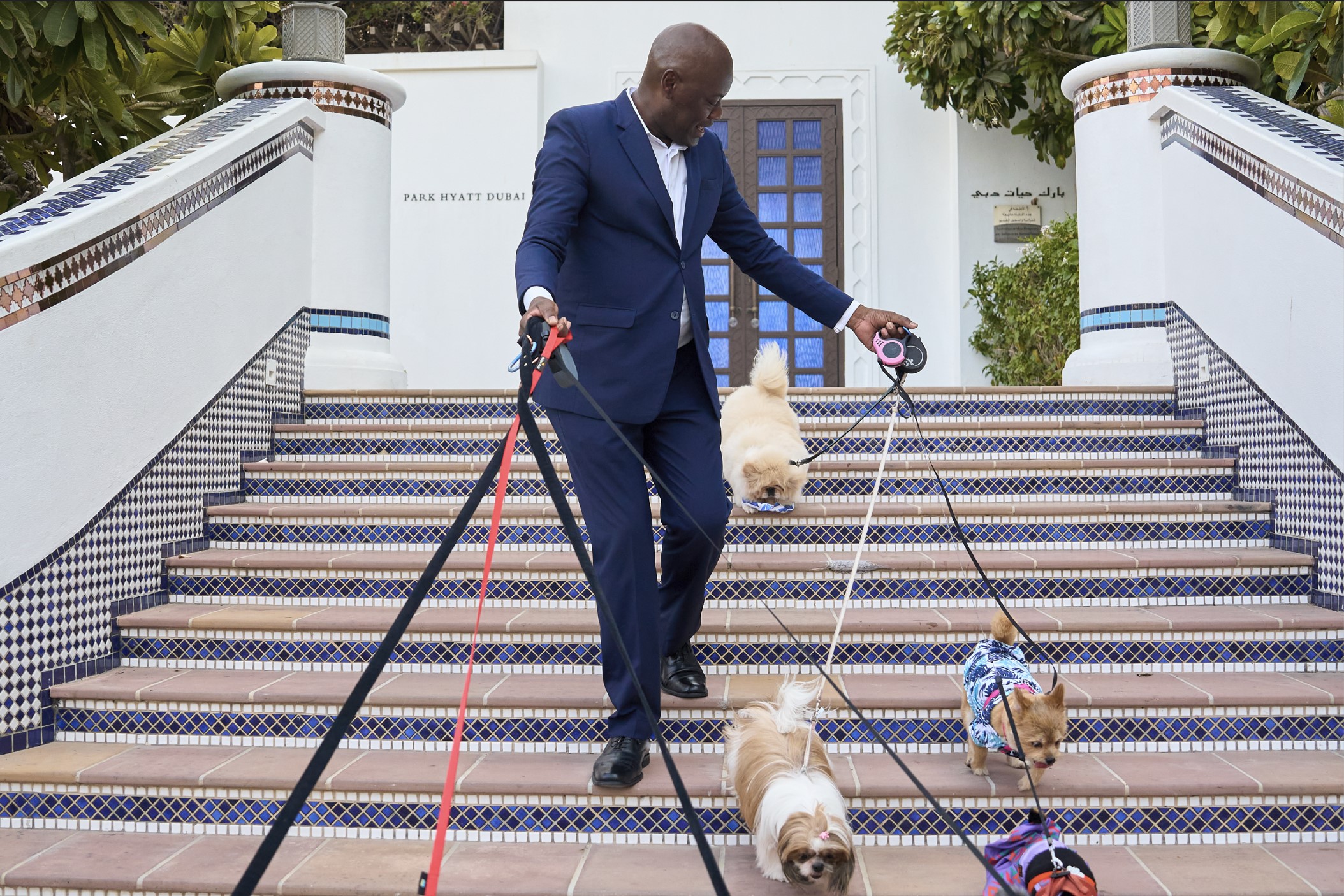  Your new pet-friendly staycation offer